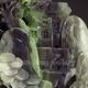 Chinese Hetian Jade Statue - Man & Pine Tree Nr Men, Women & Children photo 7