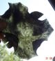 Antique Chinese Green Jade Other photo 5