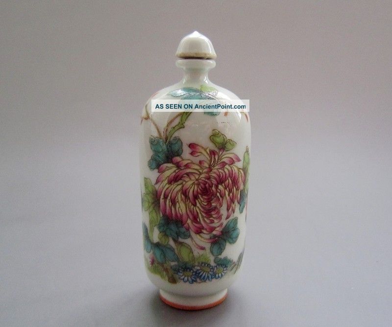 18 - 19th C.  Chinese Pastels,  Enamel Glaze Snuff Bottles 013 Other photo