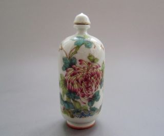 18 - 19th C.  Chinese Pastels,  Enamel Glaze Snuff Bottles 013 photo