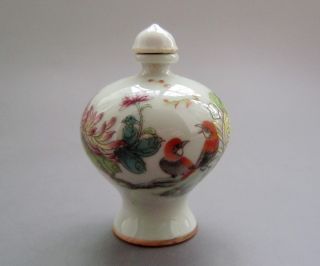 18 - 19th C.  Chinese Pastels,  Enamel Glaze Snuff Bottles 016 photo