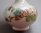 18 - 19th C.  Chinese Pastels,  Enamel Glaze Snuff Bottles 017 Other photo 6
