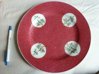 Chinese Porcelain Rose Red Glazed Famille Rose Plate photo