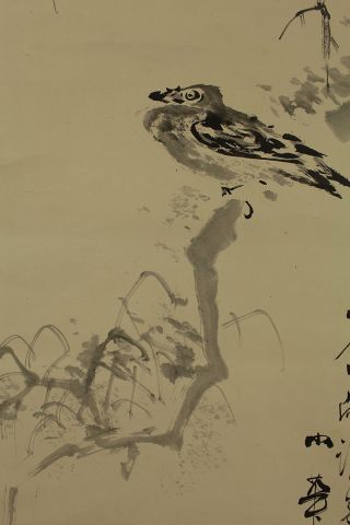 Japanese Hanging Scroll : Watanabe Shoka 