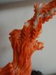 A Chinese Antique Carved Red Coral Phoenix Bird Statue Men, Women & Children photo 9