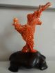 A Chinese Antique Carved Red Coral Phoenix Bird Statue Men, Women & Children photo 1