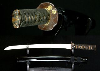 5658 Japanese Samurai Sword Edo Fittings Wakizashi Koshirae photo
