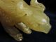 Chinese Mythic Dragon Dragons photo 4