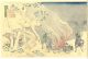 Japanese Woodblock Print.  Hokusai 