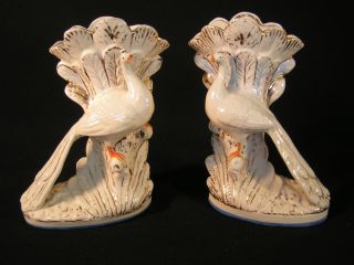 Pair Of 19th Century Continental White Peacock Vases photo
