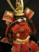 Japanese Gogatsu Samurai Yoroi Kabuto 60cm,  Helmet,  Armor / Maedate Dolls photo 2