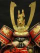 Japanese Gogatsu Samurai Yoroi Kabuto 60cm,  Helmet,  Armor / Maedate Dolls photo 7
