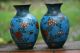 Interesting Pair Of 19th C.  Japanese Cloisonne Flower & Insect Decorated Vases Vases photo 3