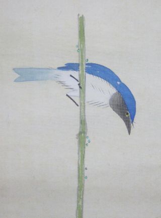 F949: Japanese Hanging Scroll Blue Bird With Flower On Silk. photo