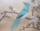 Vintage Japanese Hand Painted Blue Bird Print - Signed,  Decorated Flower Blossom Prints photo 2
