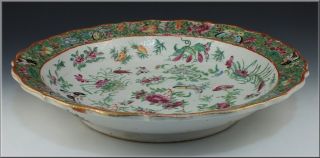 19th C Chinese Famille Rose Charger W/ Butterflies,  Flowers,  Fruits & Vegetables photo