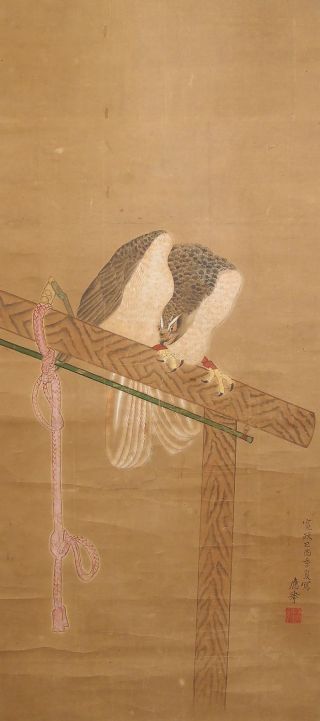 6053 Japanese Hanging Scroll: Falcon On Perch photo