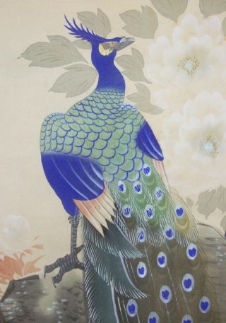 F936: Japanese Hanging Scroll Peafowl On Rock With Flower. photo