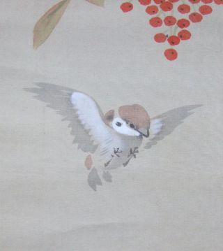 F933: Japanese Hanging Scroll Sparrow With Nandina Tree Silk. photo