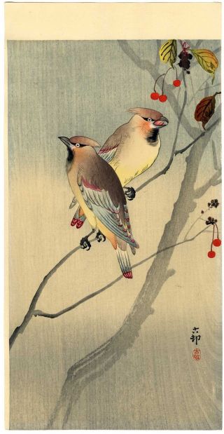 Koson Japanese Woodblock Print Japanese Waxwings With Berries photo