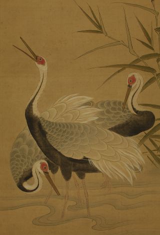 Japanese Hanging Scroll : Kano Yoshinobu 