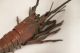 Japanese Articulated Copper Crayfish/shrimp Meiji Period 1868 - 1912 Other photo 1