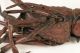 Japanese Articulated Copper Crayfish/shrimp Meiji Period 1868 - 1912 Other photo 8