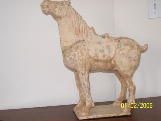 Chinese Terracotta Horse (tang Dynasty) photo