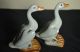 Chinese Antiques A Pair Shadowy Blue Porcelain Duck Other photo 1