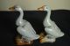 Chinese Antiques A Pair Shadowy Blue Porcelain Duck Other photo 3
