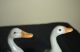 Chinese Antiques A Pair Shadowy Blue Porcelain Duck Other photo 5