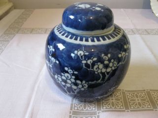 Lovely Vintage Chinese Ginger Jar/vase In The Prunus Pattern photo