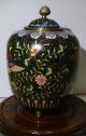 Antique 19th Century Chinese Cloisonne Jar With Lid.  Ho - Bird Green Sparkle Enamel Vases photo 9