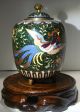 Antique 19th Century Chinese Cloisonne Jar With Lid.  Ho - Bird Green Sparkle Enamel Vases photo 11