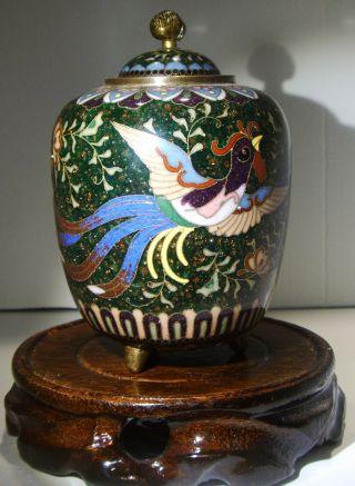 Antique 19th Century Chinese Cloisonne Jar With Lid.  Ho - Bird Green Sparkle Enamel photo