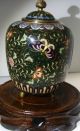 Antique 19th Century Chinese Cloisonne Jar With Lid.  Ho - Bird Green Sparkle Enamel Vases photo 2