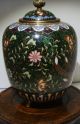 Antique 19th Century Chinese Cloisonne Jar With Lid.  Ho - Bird Green Sparkle Enamel Vases photo 3