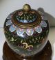 Antique 19th Century Chinese Cloisonne Jar With Lid.  Ho - Bird Green Sparkle Enamel Vases photo 4