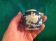 Antique Prunus Blossom Chinese Blue White Small Porcelain Ginger Jars - Pair Lids Pots photo 9