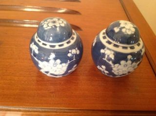 Antique Prunus Blossom Chinese Blue White Small Porcelain Ginger Jars - Pair Lids photo