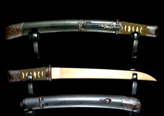 5644 Japanese Samurai Sword Edo Great Iron Fitting Tanto Koshirae With Kozuka photo