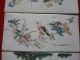 Four Antique Chinese Famille Rose Tiles Asian Oriental Other photo 3