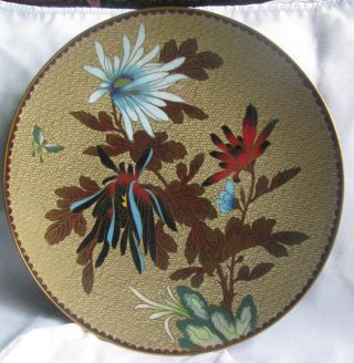 Decorative Cloisonne Plate 10 