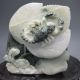 100% Natural Chinese Dushan Jade Hand - Carved Statue - - Scorpion Nr/bg2345 Other photo 2