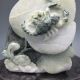 100% Natural Chinese Dushan Jade Hand - Carved Statue - - Scorpion Nr/bg2345 Other photo 3