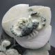 100% Natural Chinese Dushan Jade Hand - Carved Statue - - Scorpion Nr/bg2345 Other photo 4