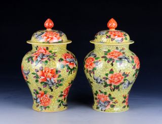 Rare Yellow Glaze Porcelain Jars Pair Flower And Butterfly Of Chinese Antique photo