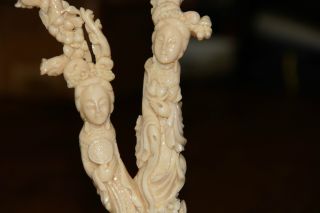 Rare Antique Twin Trunk Chinese Coral Carving Of Women Statue photo