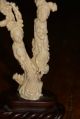 Rare Antique Twin Trunk Chinese Coral Carving Of Women Statue Men, Women & Children photo 2