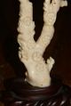Rare Antique Twin Trunk Chinese Coral Carving Of Women Statue Men, Women & Children photo 3